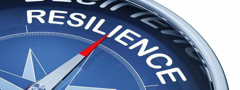 resilience image