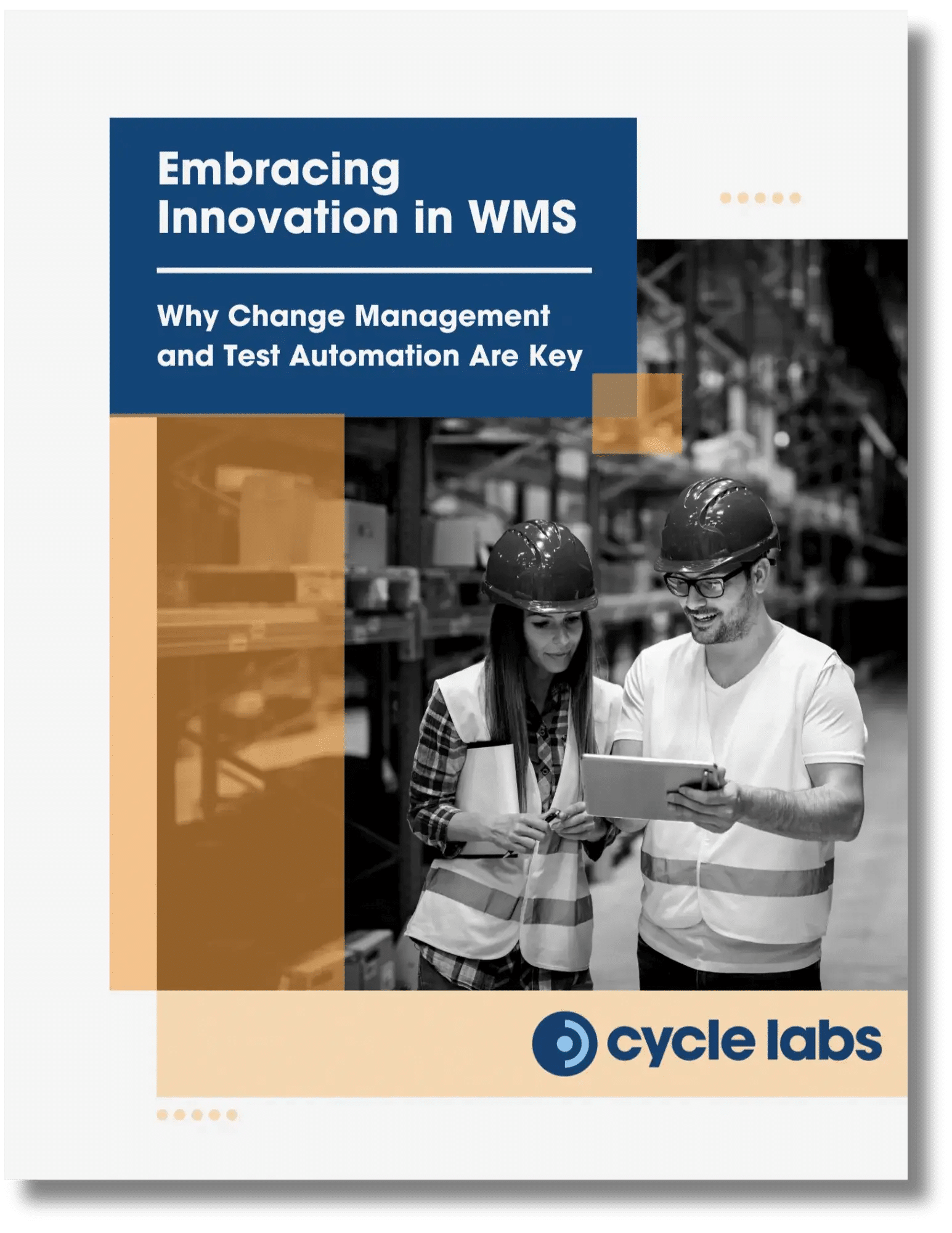 Download_Embracing-Innovation-In-WMS-White-Paper